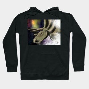 Triceratops of the Universe Hoodie